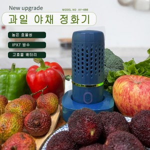AY-688  과일 야채  육류 정화기