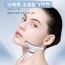 AY-1686 멀티 V라인 목선 턱선 EMS 기기