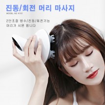 K-101  2 모드 2단 기능 두피 전용 마사지