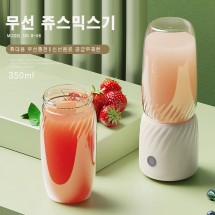 B6 (ZH40) 휴대용 쥬스믹스기